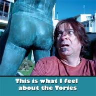 What I Feel About The Tories